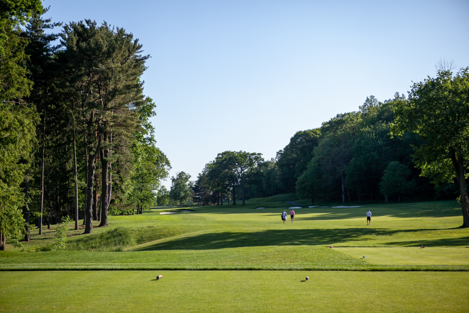 Copyright- and credit-free stock image of golf course